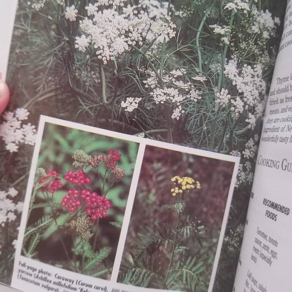 HERBS THE YEAR ROUND 1990s Gardening Guide Vintage Book - Picture 6 of 10